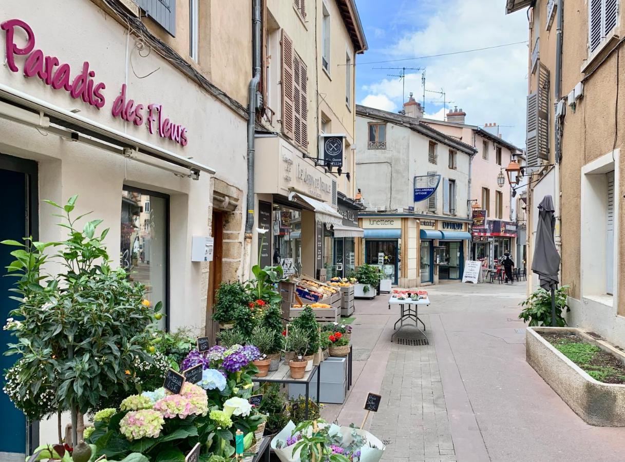 Charmant Appartement Au Coeur De Neuville - Lyon A 20Mn Extérieur photo